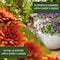 Nutrione NutriOne Essence Granules Flowers and Vegetables Plant Food 10.6 oz 710200A - alternate 2